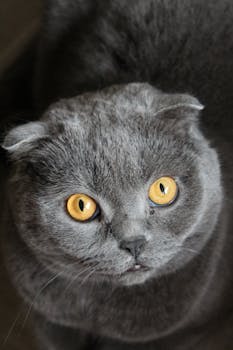 行业动态：人工智能数字空间秩序的法律构建 新闻