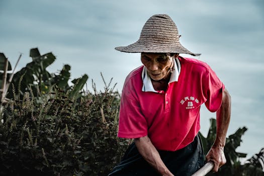  帮扶小额信贷政策优化调整，助力乡村人口稳定增收；金融多部门协同发力。 股票财经 帮扶小额信贷政策优化调整，助力乡村人口稳定增收；金融多部门协同发力。 股票财经 帮扶小额信贷政策优化调整，助力乡村人口稳定增收；金融多部门协同发力。 股票财经