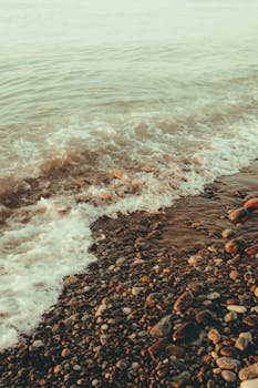  坚持人民至上，书写健康中国新篇章；习近平总书记重要讲话，指明前进方向。 新闻 坚持人民至上，书写健康中国新篇章；习近平总书记重要讲话，指明前进方向。 新闻 坚持人民至上，书写健康中国新篇章；习近平总书记重要讲话，指明前进方向。 新闻 坚持人民至上，书写健康中国新篇章；习近平总书记重要讲话，指明前进方向。 新闻