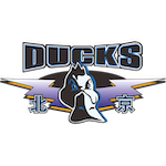  麦基初登CBA舞台，北京北汽大胜四川；新援替补亮相，贡献全面数据。 体育新闻 麦基初登CBA舞台，北京北汽大胜四川；新援替补亮相，贡献全面数据。 体育新闻