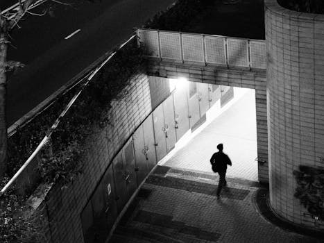 海外影片主创频频访华，引进片占比显著上升；中国电影市场活力迸发，全球票房持续领先。