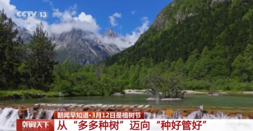  森林质量稳步提升；混交模式渐成主流；各地科学管护见成效 健康养生