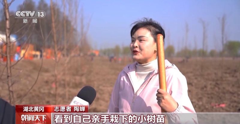  森林质量稳步提升；混交模式渐成主流；各地科学管护见成效 健康养生