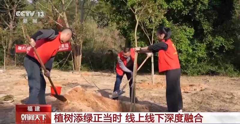  森林质量稳步提升；混交模式渐成主流；各地科学管护见成效 健康养生