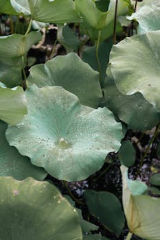  以色列对伊朗新一轮大规模空袭启动；德黑兰爆炸频传，全球债券市场恐慌指标急升。 股票财经 以色列对伊朗新一轮大规模空袭启动；德黑兰爆炸频传，全球债券市场恐慌指标急升。 股票财经