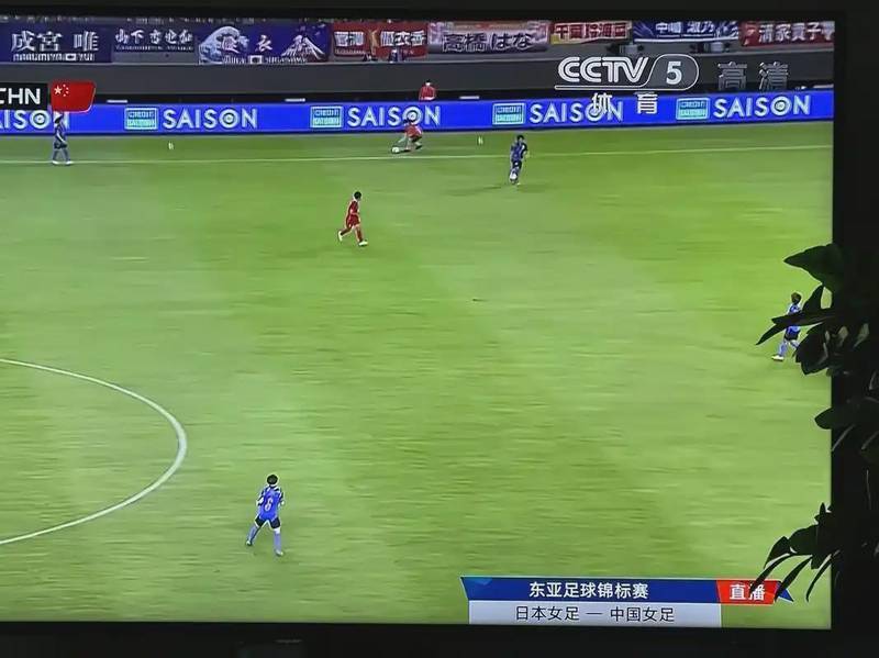  揭秘观赛禁区：解锁免费高清赛事直播的终极实操指南 IT技术 揭秘观赛禁区：解锁免费高清赛事直播的终极实操指南 IT技术