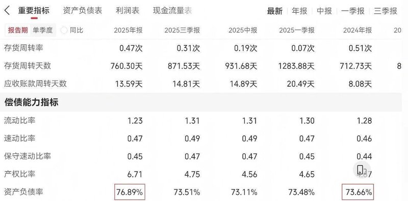  资本市场观察者：大型地产项目财务风险与资产重估深度解析 股票财经
