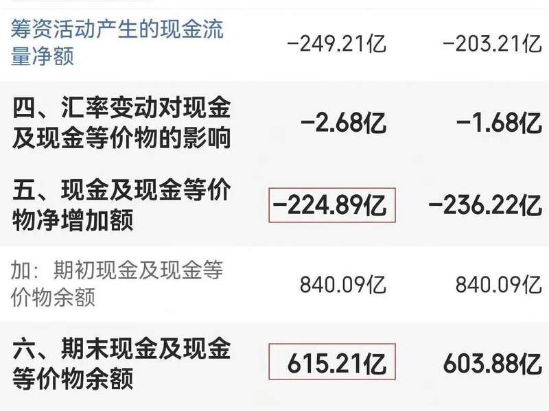  资本市场观察者：大型地产项目财务风险与资产重估深度解析 股票财经