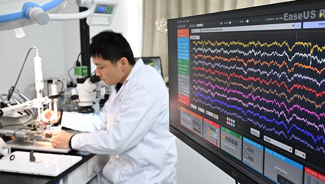  当「毛基」终于浮出水面：一位基民的两年等待与一堂关于耐心的投资课 情感心理