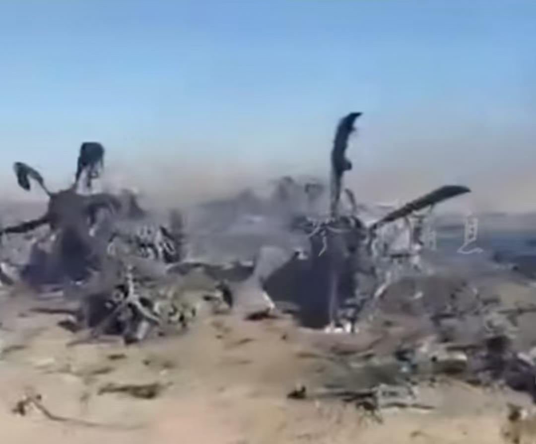  生死三公里：一名美军飞行员在伊朗山区的惊魂12小时 新闻