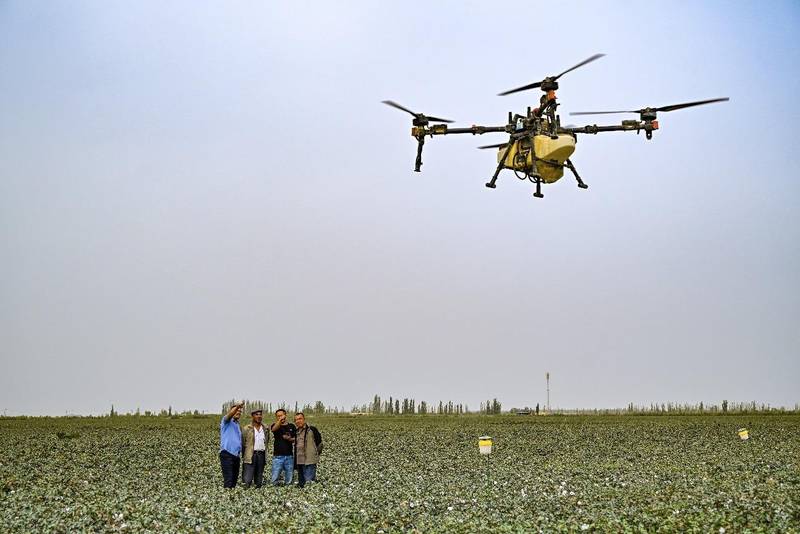  技术赋能乡村全面振兴：都市现代农业的上海路径深度解析 新闻