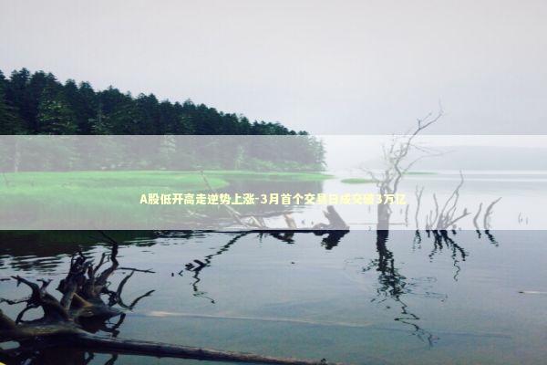 A股低开高走逆势上涨-3月首个交易日成交破3万亿 新闻