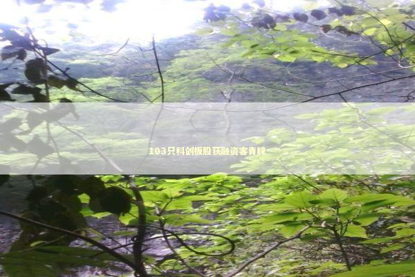 103只科创板股获融资客青睐