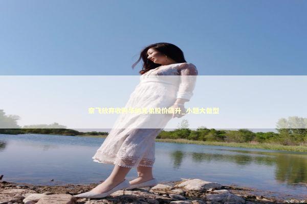 奈飞放弃收购华纳兄弟股价飙升_小题大做型 新闻