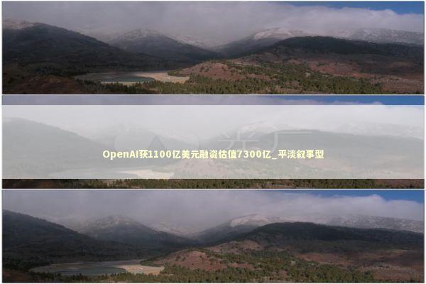 OpenAI获1100亿美元融资估值7300亿_平淡叙事型