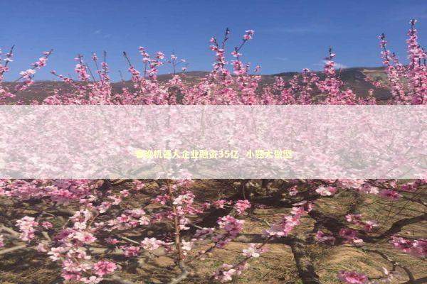 春晚机器人企业融资35亿_小题大做型 新闻