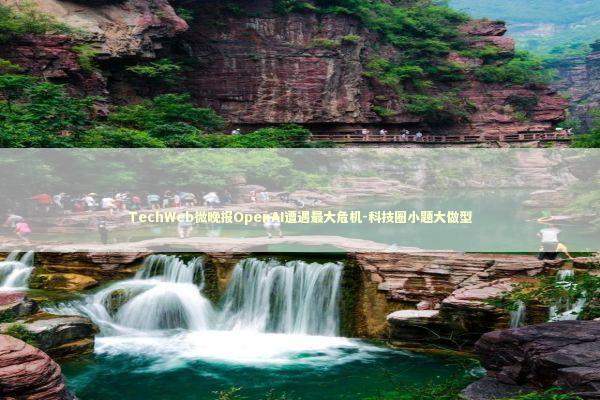 TechWeb微晚报OpenAI遭遇最大危机-科技圈小题大做型