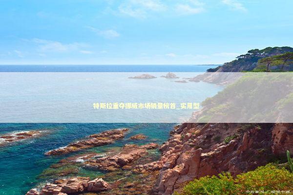 特斯拉重夺挪威市场销量榜首_实用型 新闻