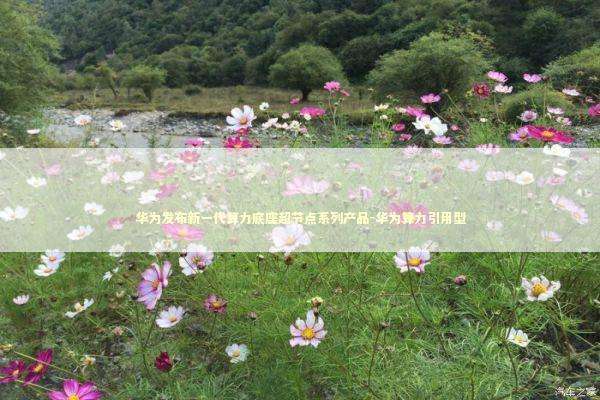 华为发布新一代算力底座超节点系列产品-华为算力引用型