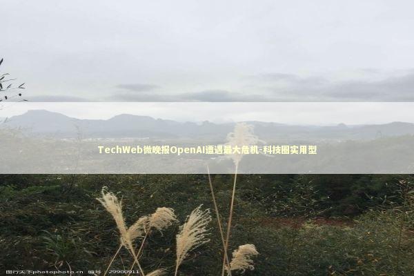 TechWeb微晚报OpenAI遭遇最大危机-科技圈实用型