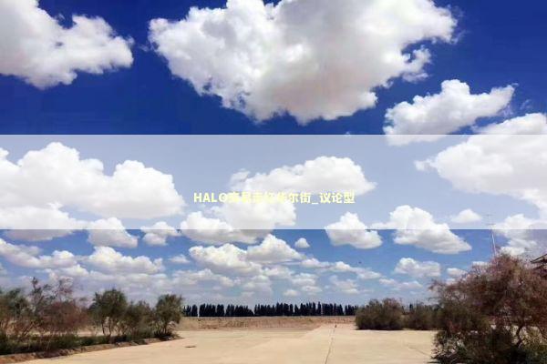 HALO交易走红华尔街_议论型