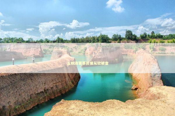 五粮液董事长曾从钦被查