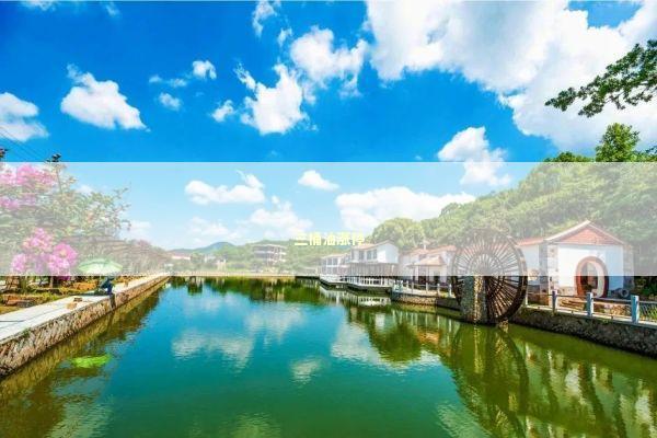 三桶油涨停 新闻