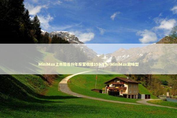 MiniMax上市后首份年报营收增158.9%-MiniMax趣味型