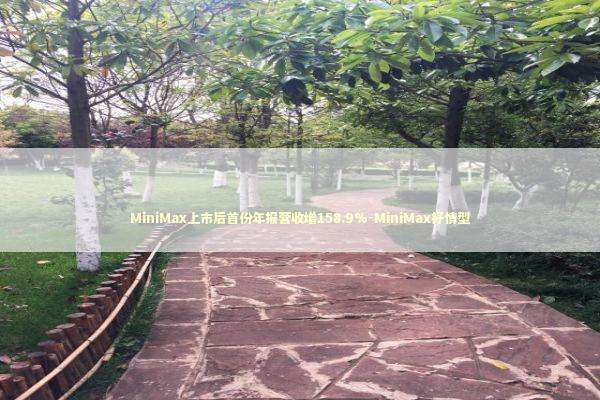 MiniMax上市后首份年报营收增158.9%-MiniMax抒情型
