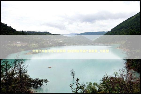 中德汽车合作进入蜜月期 双向赋能开创产业新局_引用型 新闻