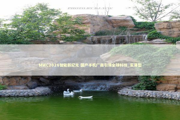 MWC2026智能新纪元 国产手机厂商引领全球科技_实用型