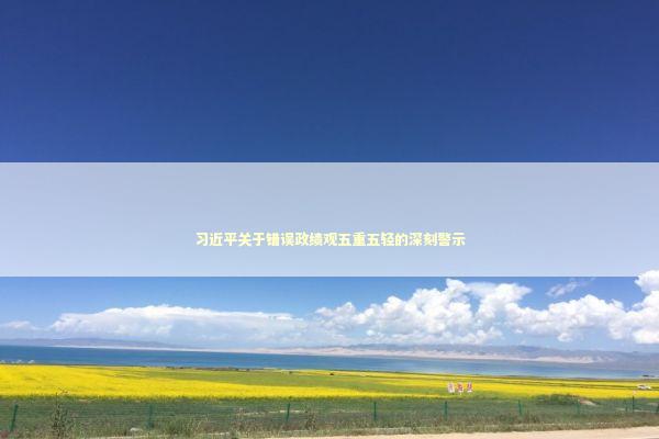 习近平关于错误政绩观五重五轻的深刻警示 新闻