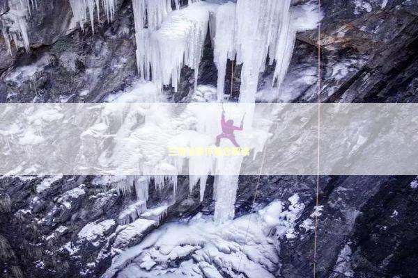 三桶油涨停悬念解读 新闻