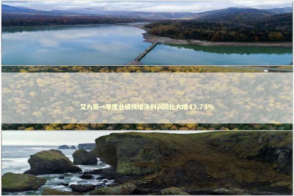 艾力斯一季度业绩预增净利润同比大增43.73% 新闻