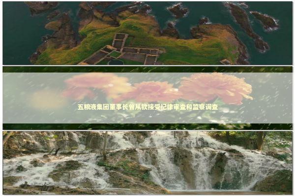 五粮液集团董事长曾从钦接受纪律审查和监察调查 新闻