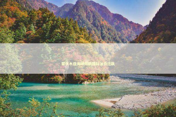 霍尔木兹海峡停航国际油价狂飙