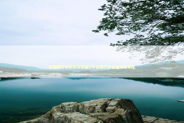 民营银行存款利率跌破2字头银行净息差持续承压 新闻