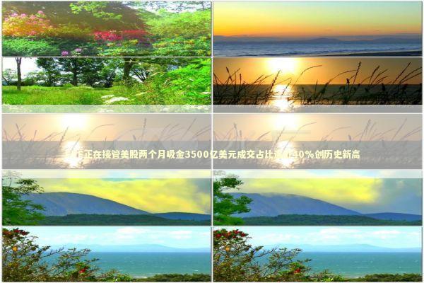 ETF正在接管美股两个月吸金3500亿美元成交占比逼近40%创历史新高 新闻