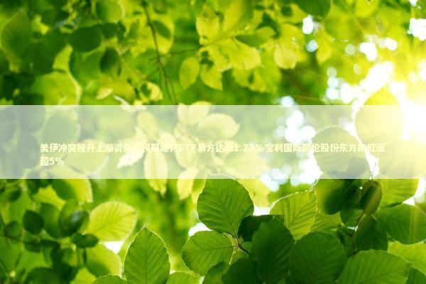 美伊冲突推升上游资源品预期建材ETF易方达涨1.23%宝利国际凯伦股份东方雨虹涨超5%