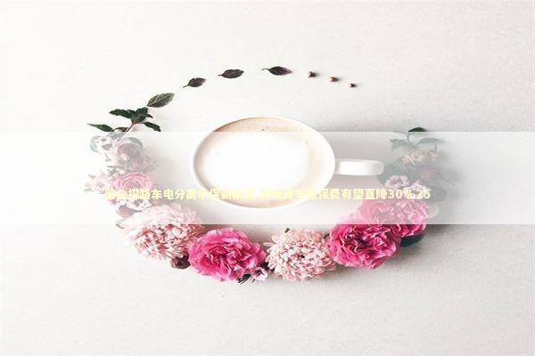 险企探路车电分离承保新模式 新能源车险保费有望直降30%25 新闻