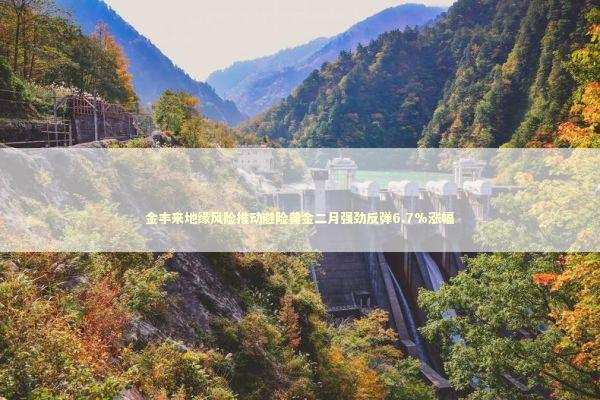 金丰来地缘风险推动避险黄金二月强劲反弹6.7%涨幅