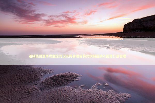 通威集团董事局主席刘汉元两会建言将光伏制造纳入能源行业管理 新闻