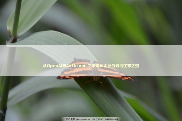 从OpenAI与Anthropic之争看AI企业的政治生存之道