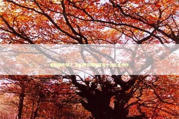 金融圈炸锅了 五矿期货刚刚宣布十五五大动作 新闻