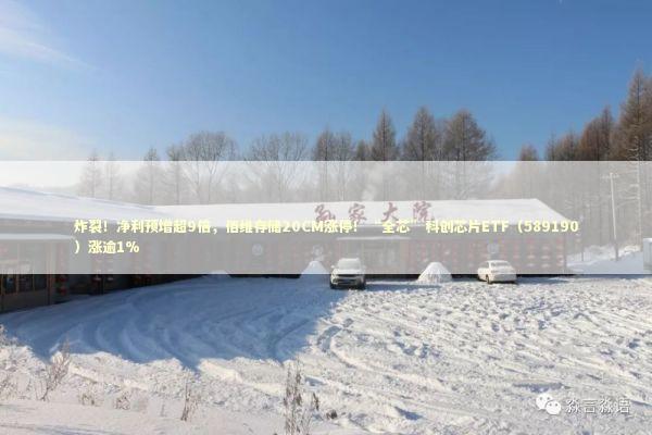 炸裂！净利预增超9倍，佰维存储20CM涨停！“全芯”科创芯片ETF（589190）涨逾1% 新闻