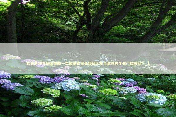 苏泊尔CFO徐波掌舵一年成绩单龙头疑掉队左手减持右手低门槛激励？_1 新闻