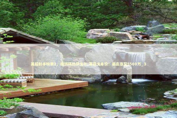 英超射手榜第2，德转预热伊戈尔-蒂亚戈身价：最高涨至5500万_3 新闻