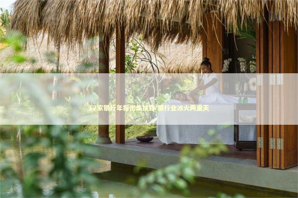 12家银行年报密集披露 银行业冰火两重天 新闻