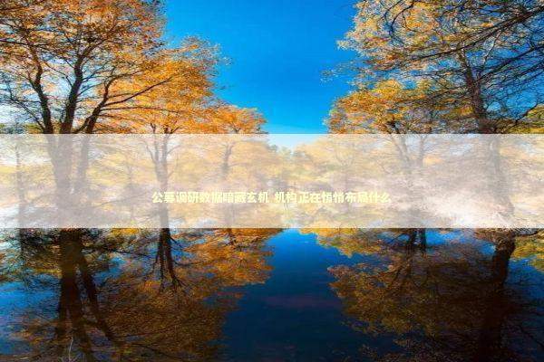 公募调研数据暗藏玄机 机构正在悄悄布局什么 新闻