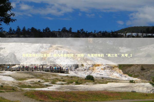 高瓴套现43亿背后：格力电器业绩“双降”与董明珠的“再三年”大考_1 新闻